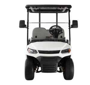 Electric Golf Cart Buggy LT  – 2 Seater (4000W | 100km Range)