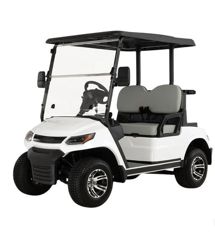 Electric Golf Cart Buggy LT  – 2 Seater (4000W | 100km Range)
