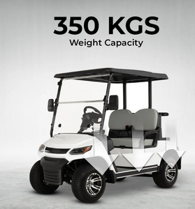 Electric Golf Cart Buggy LT  – 2 Seater (4000W | 100km Range)
