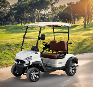 Electric Golf Cart TXV 2+2 Seater
