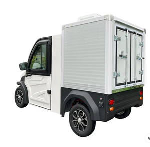 Electric Mini Freezer Cart with 2-Seat 600kg Payload