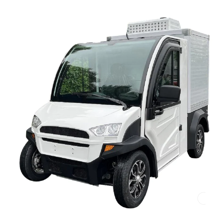 Electric Mini Freezer Cart with 2-Seat 600kg Payload