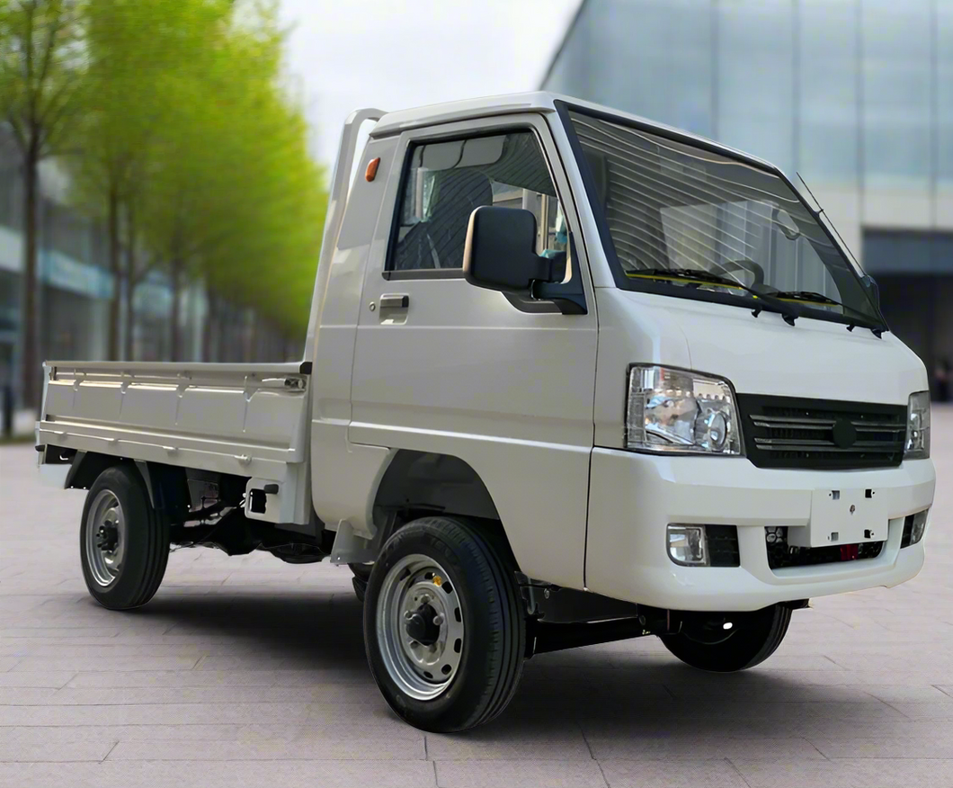 Electric Utility Equipment Cargo Transporter C1600 02 Seater