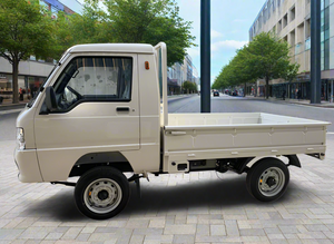 Electric Utility Equipment Cargo Transporter C1600 02 Seater