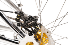 Load image into Gallery viewer, Evolve Project BMX Electric Bicycle - E-Scooter UAE Hub
