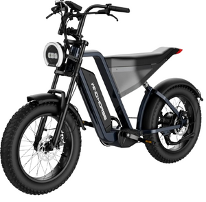Wind Horse D3 Fat Tyre All Terrain Electric Bike 48V 18Ah 1000W - E-Scooter UAE Hub
