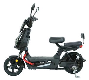 W12 Electric Bike Home city Rider