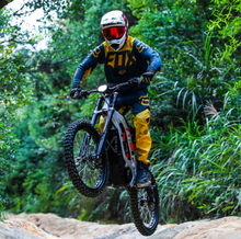 Load image into Gallery viewer, SURRON LIGHT BEE X Electric Dirt Bike 60v 100km Range 75km/h Speed Off Road Dirt Bike - E-Scooter UAE Hub

