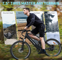Load image into Gallery viewer, Windhorse F3 Electric Stylish City E Bike 48V15Ah 450W
