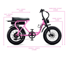 Load image into Gallery viewer, Flight Risk Electric Bike FR303 48V 20Ah
