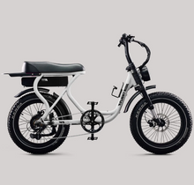 Load image into Gallery viewer, Flight Risk Electric Bike FR303 48V 20Ah
