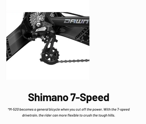 MTB Electric Bike M520 29" With 48V 14Ah LG Battery 500W