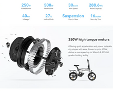 Load image into Gallery viewer, Kingsong Electric Bike KS-M2

