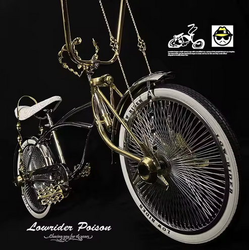 Vintage  Style 20 Inch Lowrider Bike
