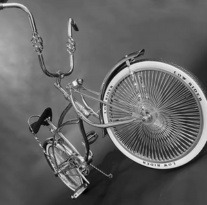 Lowrider West Coast Chicago Vintage Bike