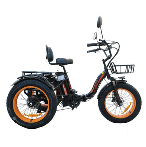 Kugoo Adults Electric Trike 48V 15Ah 750W