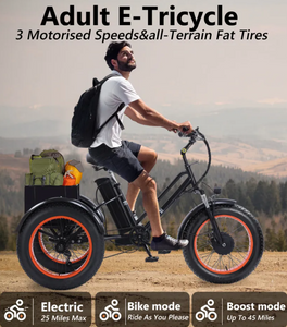 Kugoo Adults Electric Trike 48V 15Ah 750W