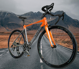 Road Bike BETTA 52C Plakat 22Sp Alloy - E-Scooter UAE Hub