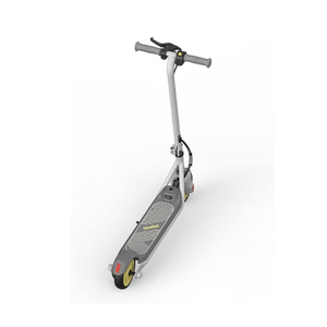 Ninebot Zing C8 eKickscooter