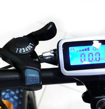 Load image into Gallery viewer, Fat Tire Harley Electric Bike for Rough Tough Sandy Terrain 36V 12Ah 350W
