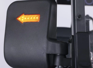 Luxury Electric Golf Buggy pro version - 04 Seater