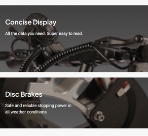 L12 Electric Scooter 48V 13Ah 600W