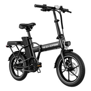 Wind horse W2A Electric Bike