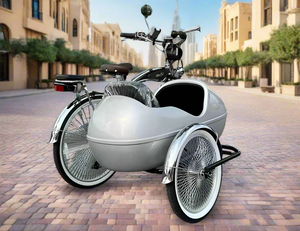 Vintage Retro Alloy Side Tricycle
