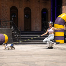 Load image into Gallery viewer, INMOTION E20 Electric Unicycle - E-Scooter UAE Hub
