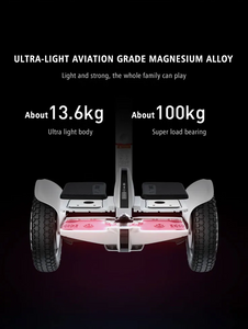 Ninebot Mini Pro 2 Self Balancing Scooter Black Upgrade Version - E-Scooter UAE Hub