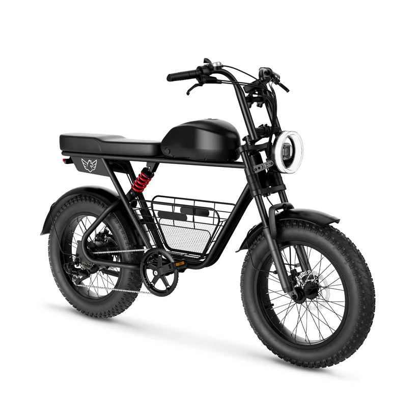 Wind horse D5 Electric Bike 48V 21Ah 1000W Fat Tyre 70Km Range