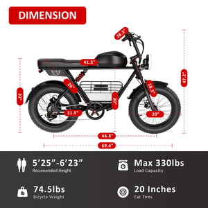 Wind horse D5 Electric Bike 48V 21Ah 1000W Fat Tyre 70Km Range