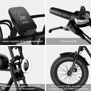 Wind horse D5 Electric Bike 48V 21Ah 1000W Fat Tyre 70Km Range