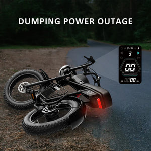 Wind horse D5 Electric Bike 48V 21Ah 1000W Fat Tyre 70Km Range