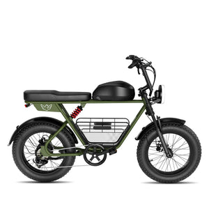 Wind horse D5 Electric Bike 48V 21Ah 1000W Fat Tyre 70Km Range