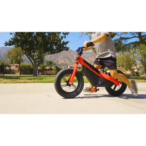Razor Dash Balance E Bike Kids Early Learning Fun rider 3+ Years - E-Scooter UAE Hub
