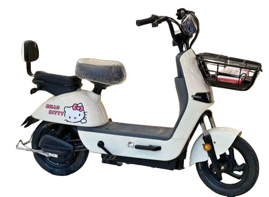 Ladies City Electric Bike B9P 48V 12Ah 350W