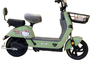 Ladies City Electric Bike B9P 48V 12Ah 350W