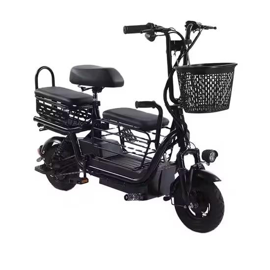 motorized tricycle ropali e trike price
