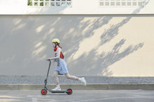 Load image into Gallery viewer, Ninebot Segway Zing C20 Electric Scooter - E-Scooter UAE Hub
