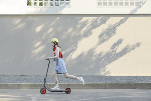 Ninebot Segway Zing C20 Electric Scooter - E-Scooter UAE Hub