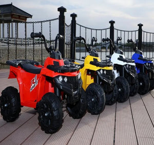 Electric Mini Quad Bike For Young Off Roaders 6V Age 3+