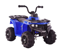 Load image into Gallery viewer, Electric Mini Quad Bike For Young Off Roaders 6V Age 3+
