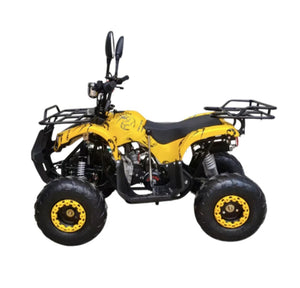 ATV Quad Off road 125CC Gas powered Automatic with Reverse Mode Warrior Bike - Age 8-14