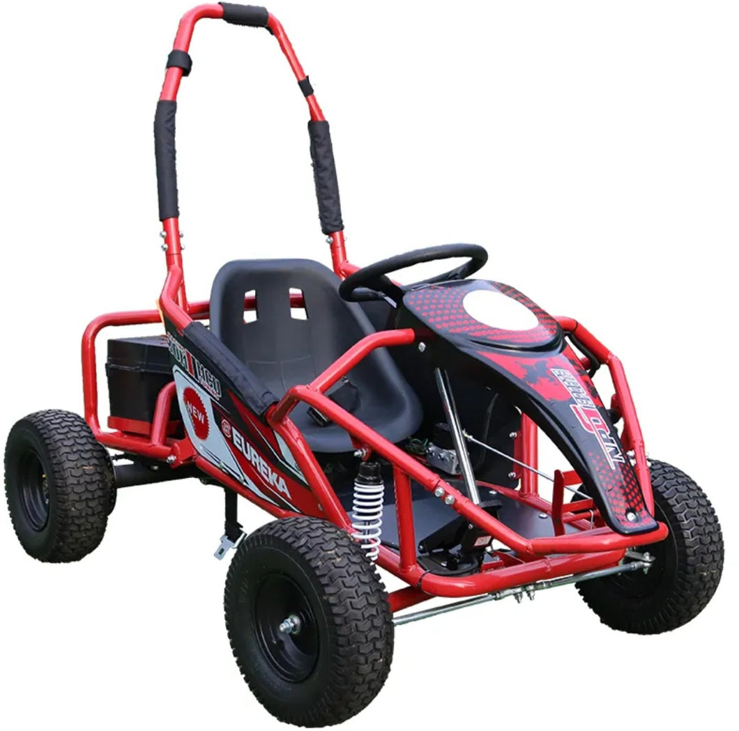 Electric Rideon Gokart Buggy Car Teen & Adults
