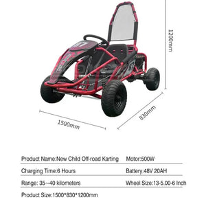 Electric Rideon Gokart Buggy Car Teen & Adults