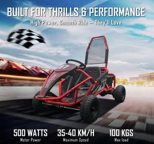 Electric Rideon Gokart Buggy Car Teen & Adults