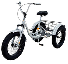 Load image into Gallery viewer, Fat Tire City Tricycle
