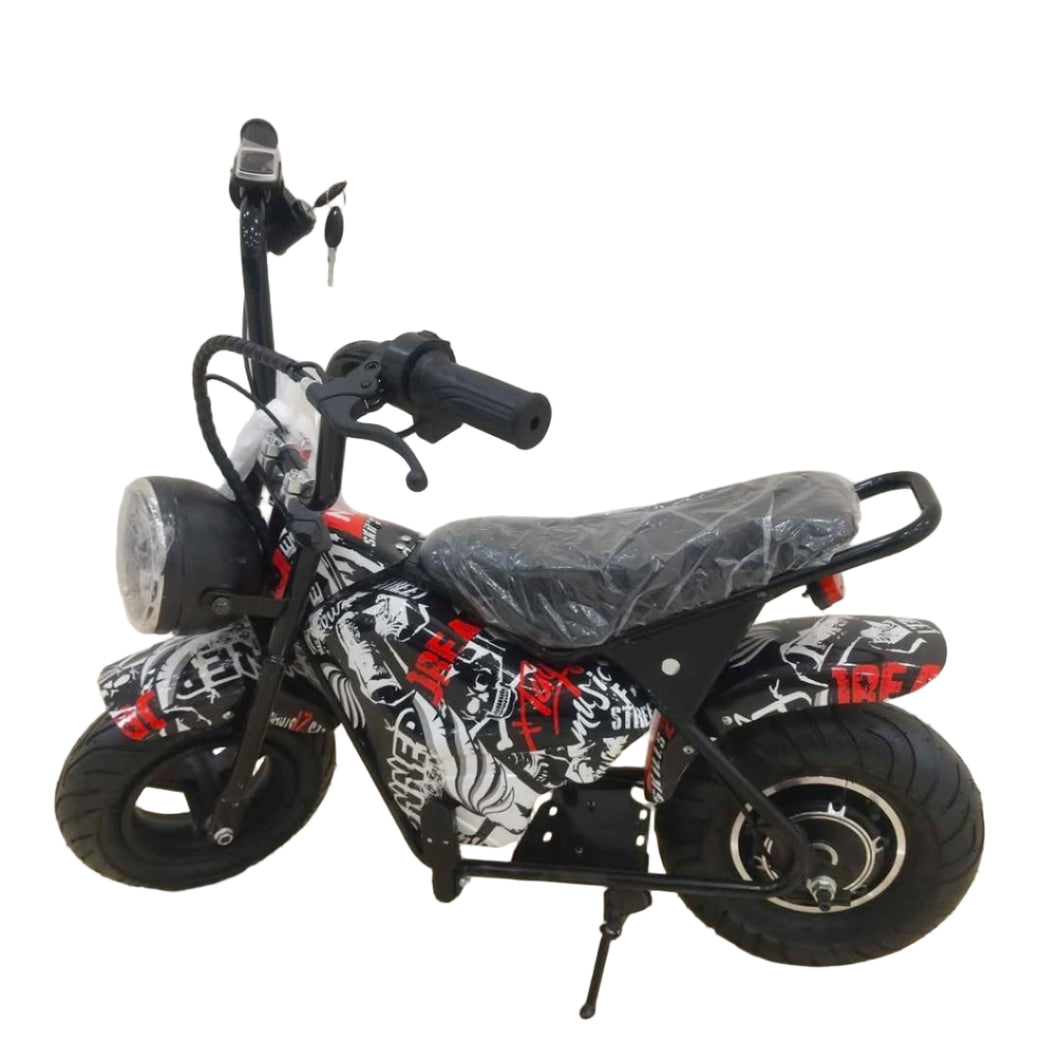 Kids Mini moto Electric Dirt Bike with Stabilizer 250W Age 2-5 Years