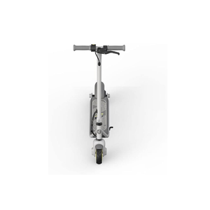 Ninebot Zing C8 eKickscooter